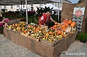 VBS_6620 - FLOREAL Ottobre 2022 - Tre giorni di fiori, piante e bellezza